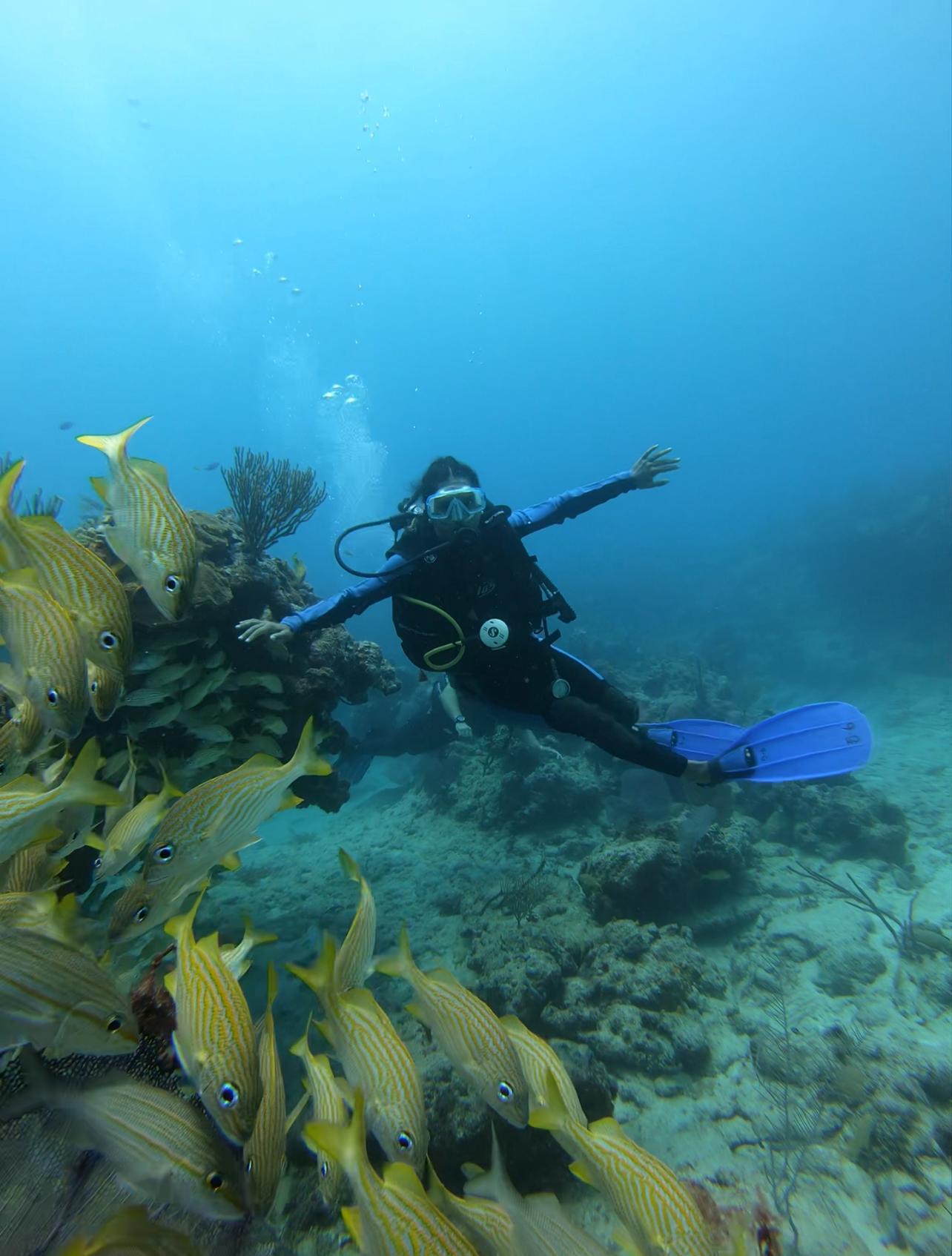 Bautismo de buceo en Playa del Carmen - Primera experiencia bajo el agua